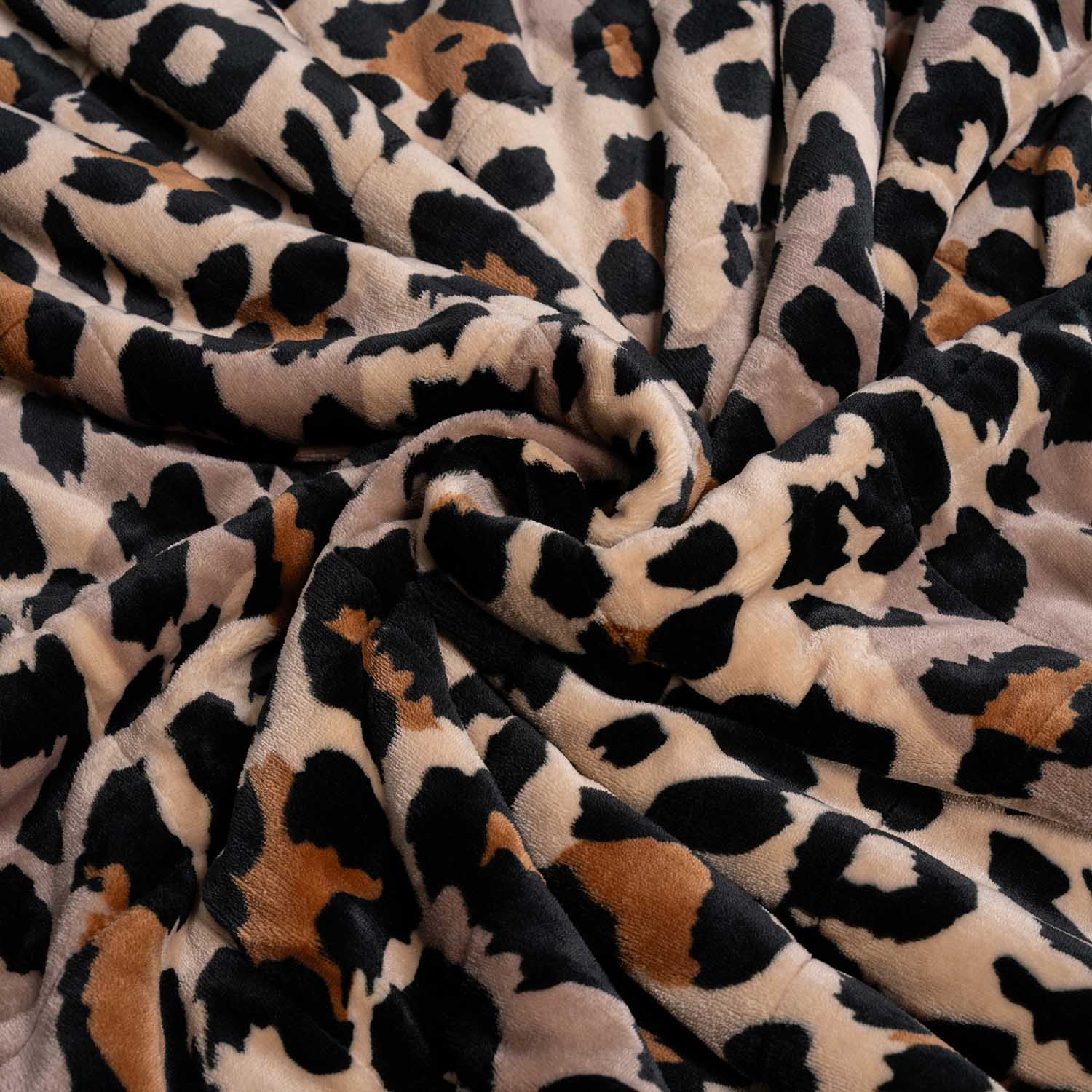 Leopard - Image 6